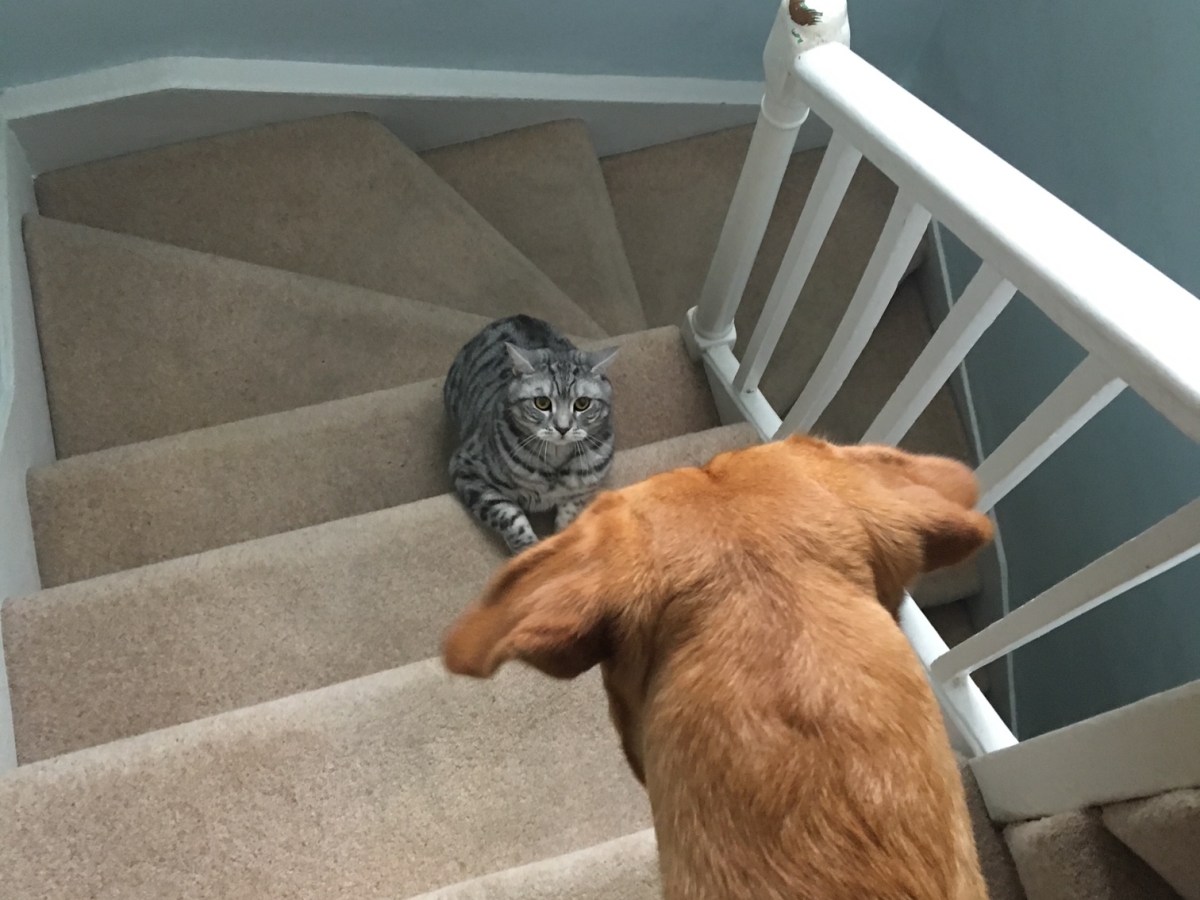 Als je zoekt, wil je&nbsp;vinden